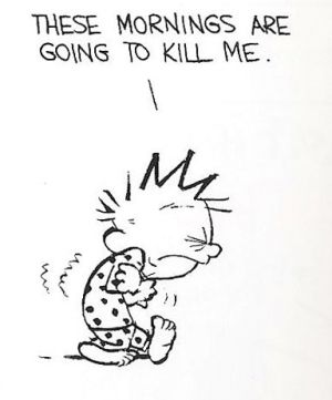 2 more Mondays until the semester is over!