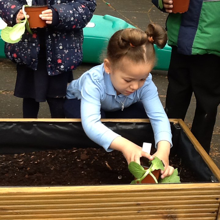 Lakeside Primary School tweet media