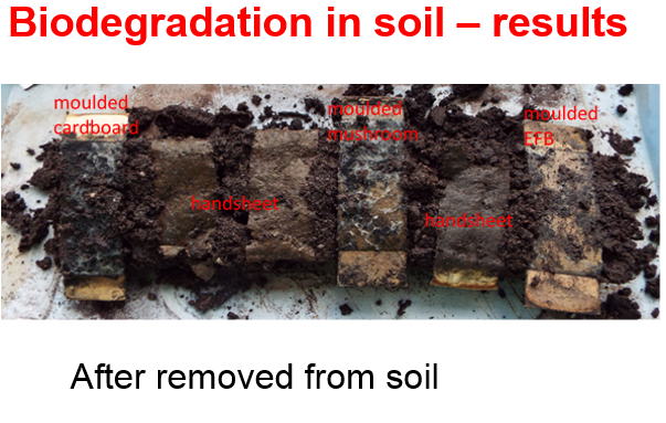 BCBangor's tweet photo. Take a look at these results from our soil degradation test for our Q10 meeting with our @NewtonFund #SafeBioPack project funded by @innovateuk working with @ParksideFlex #compostable #packaging https://t.co/4JvYlvD69o