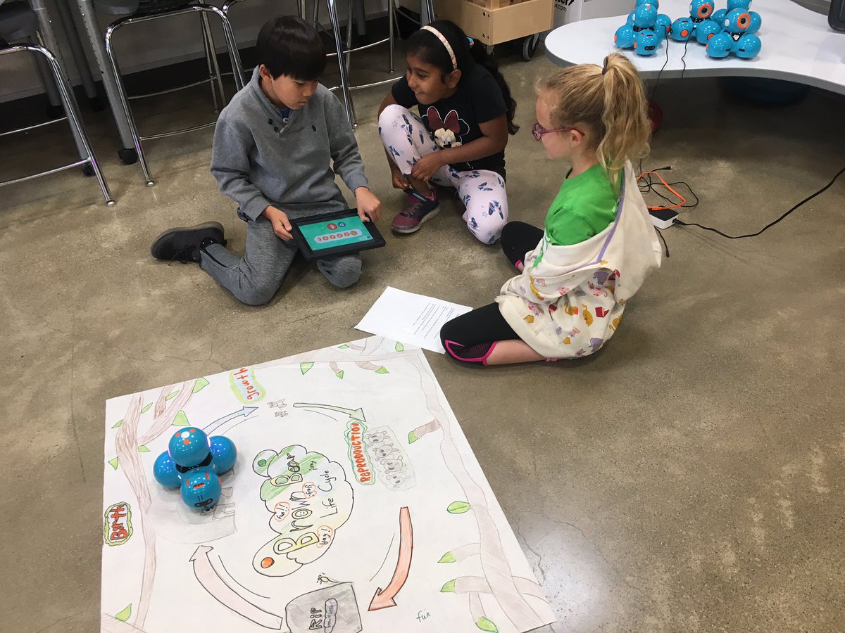 MrsKrepelka's tweet photo. The students did a great job on their Life Cycle Coding Project!  #osterpride #usdlearns https://t.co/1PtHv2DfsR