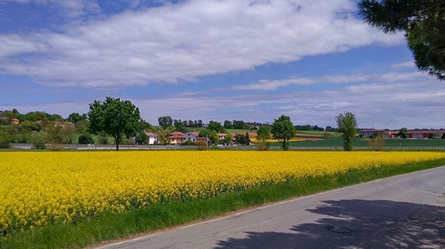 EccellenzesulT's tweet photo. Giallo
#italia_in_grande #italiastyle_piemonte #italiainunoscatto #italiait #italia_photogroup #tripitaly #traveling_piemonte #visit_italiadascoprire #visitpiemonte #vivopiemonte #architecture #architecturephotography #architecturelovers #architecturelo… https://t.co/E6UhKlycLV https://t.co/5jwdXLFBPs