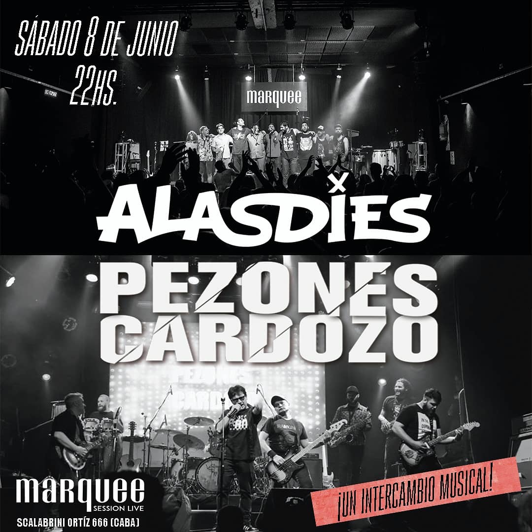 Alasdies Rock tweet media