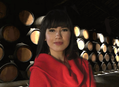 UMCampusVenlo's tweet photo. Gabriela Sequeira, our Health Food Innovation Management student from Costa Rica is now doing her internship at the Spanish company Gik Live! It is a start-up company famous for their innovative blue wine, the pigment of which naturally comes from the skin of red grapes!
#hfim https://t.co/iv6fwaJiHG