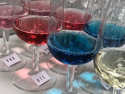 UMCampusVenlo's tweet photo. Gabriela Sequeira, our Health Food Innovation Management student from Costa Rica is now doing her internship at the Spanish company Gik Live! It is a start-up company famous for their innovative blue wine, the pigment of which naturally comes from the skin of red grapes!
#hfim https://t.co/iv6fwaJiHG