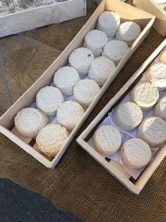 emilygrosvenor's tweet photo. I instructed my @linfield student @elinjohnson907 to send me a pic of cheese from her time in France on #studyabroad. #alwaysoverdeliver #yourewelcome https://t.co/lxFRmo652f