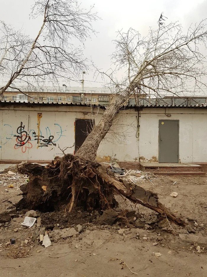 Бури на сегодня новокузнецк. Последствия ураганов и бурь. Буря в Омске. Последствия от бурь.