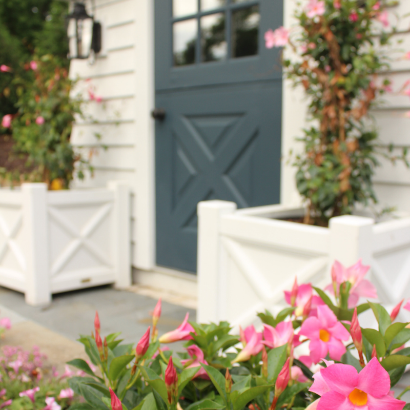 The Barn Nursery tweet media