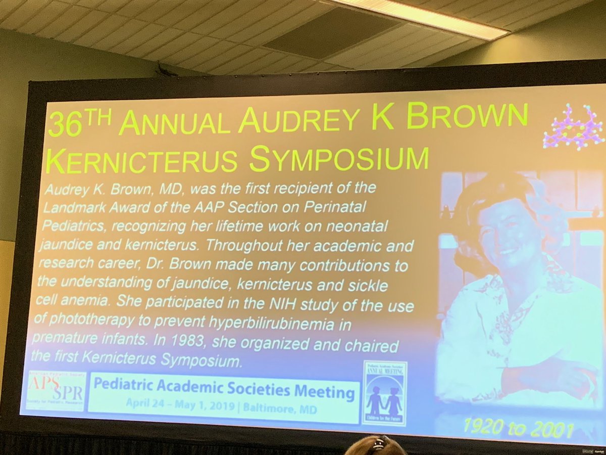 Cynthia Bearer tweet media