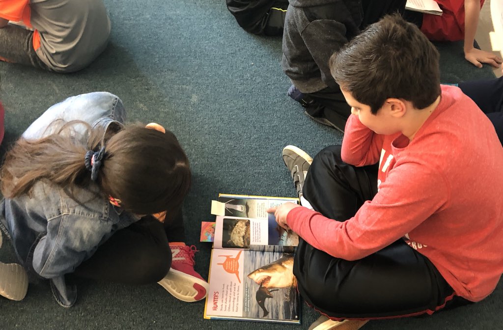 Kristin Otto tweet media