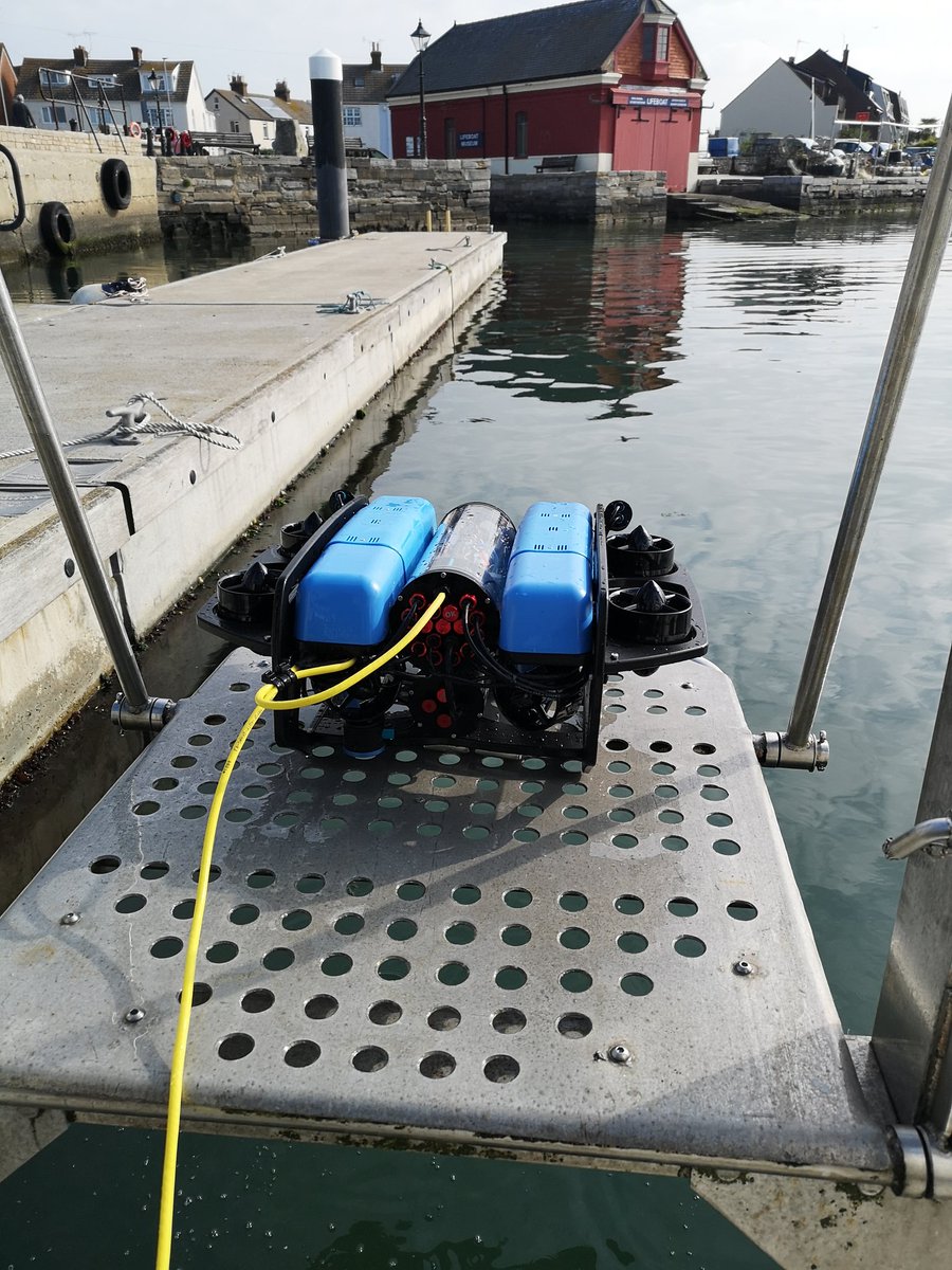 Dr Alice Hall tweet media