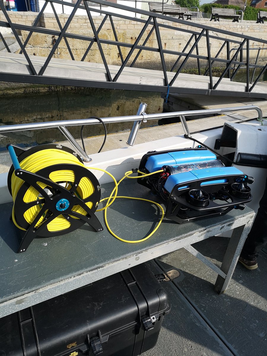 Dr Alice Hall tweet media