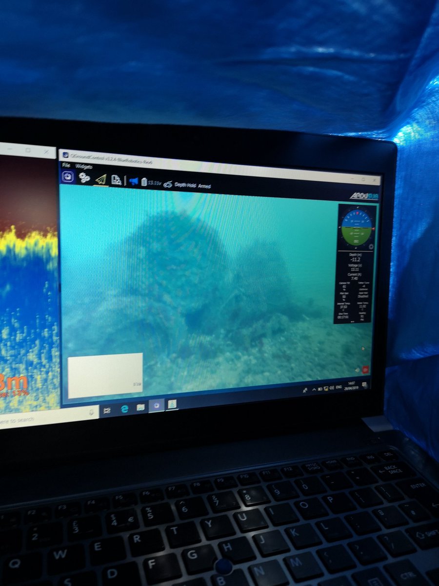 Dr Alice Hall tweet media