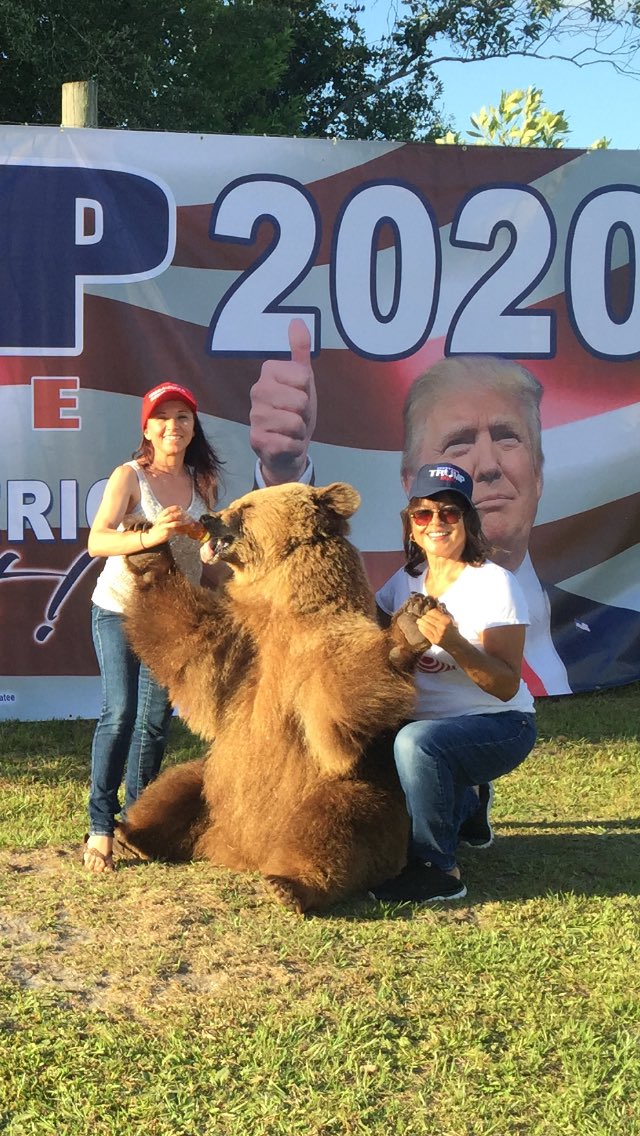 iycwhat's tweet photo. #WildWomen4Trump #Trunks4Trump #Animals4Trump @mamabearwelde @TheCavalryGroup @theresa_mh3940 #WomenforTrump #Trump2020
#WAPA @BearadiseRanch @realDonaldTrump #MAGA #TrumpTrain #TrumpRally #LatinaWomenforTrump #Trump ❤️🇺🇸🐻🐘 https://t.co/3yhVnzAeyd