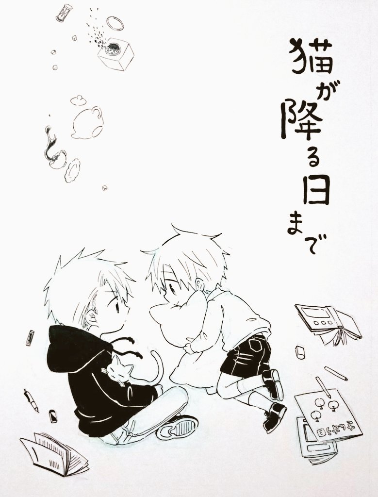 表紙全体図～～
思ったよりふぁんしーになった 