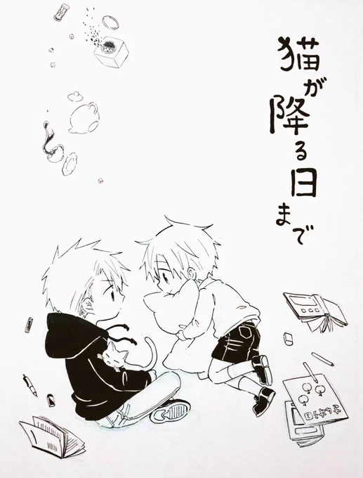 表紙全体図～～
思ったよりふぁんしーになった 
