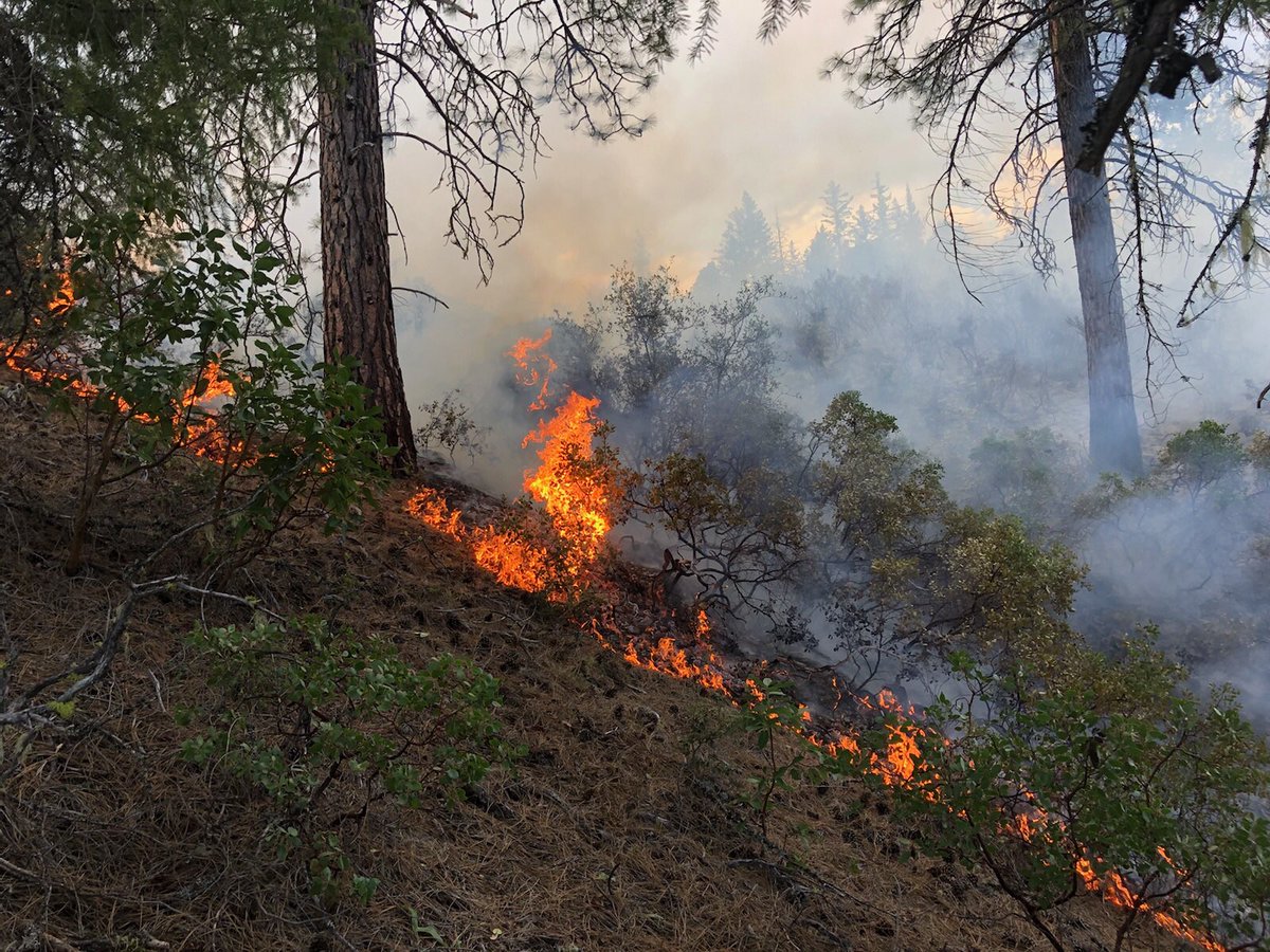 ShastaTrinityNF's tweet image. 16 lightning strikes recorded yesterday south of Hayfork &amp;amp;  firefighters quickly responded to 3 small fires. #GulchFire (pictured) near Rail Gulch contained at 0.75 acre. #DobbinsFire 0.1 acre near Dobbins Gulch is lined. Firefighters hiking to #FallFire near Fall Gulch this am