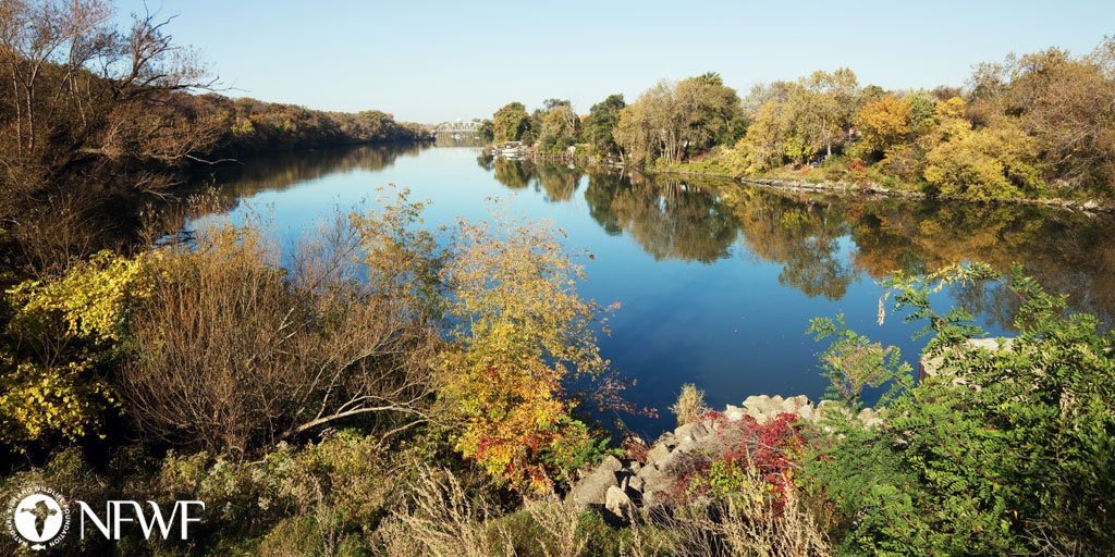 Metroplanners's tweet photo. Are you applying for the Chi-Cal Rivers Fund? @NFWFnews is hosting 2 workshops on 5/7 to help your organization refine it’s proposal.

• More info: https://t.co/wZp1DbP7SY
• Register for workshop #1: https://t.co/2gO57QoPn6
• Register for workshop #2: https://t.co/O9keRkZL3M https://t.co/4Pm2EVndUr