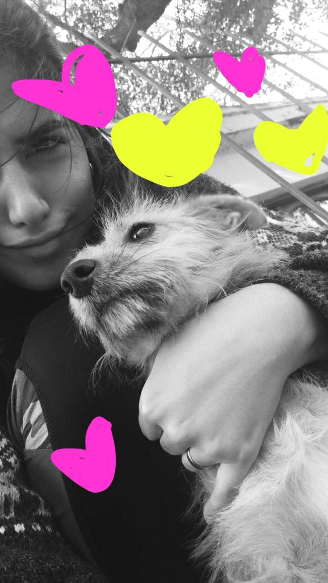 Ferreroval's tweet photo. Feliz día bebitos! Soy feliz y me alegra tanto tenerlos sabiendo q hay tanta gente de mierda afuera dispuestos a lastimarlos.. 🐕🐱 #Tiffany and #Brando! #Hermositos https://t.co/GF7hQIE65Z