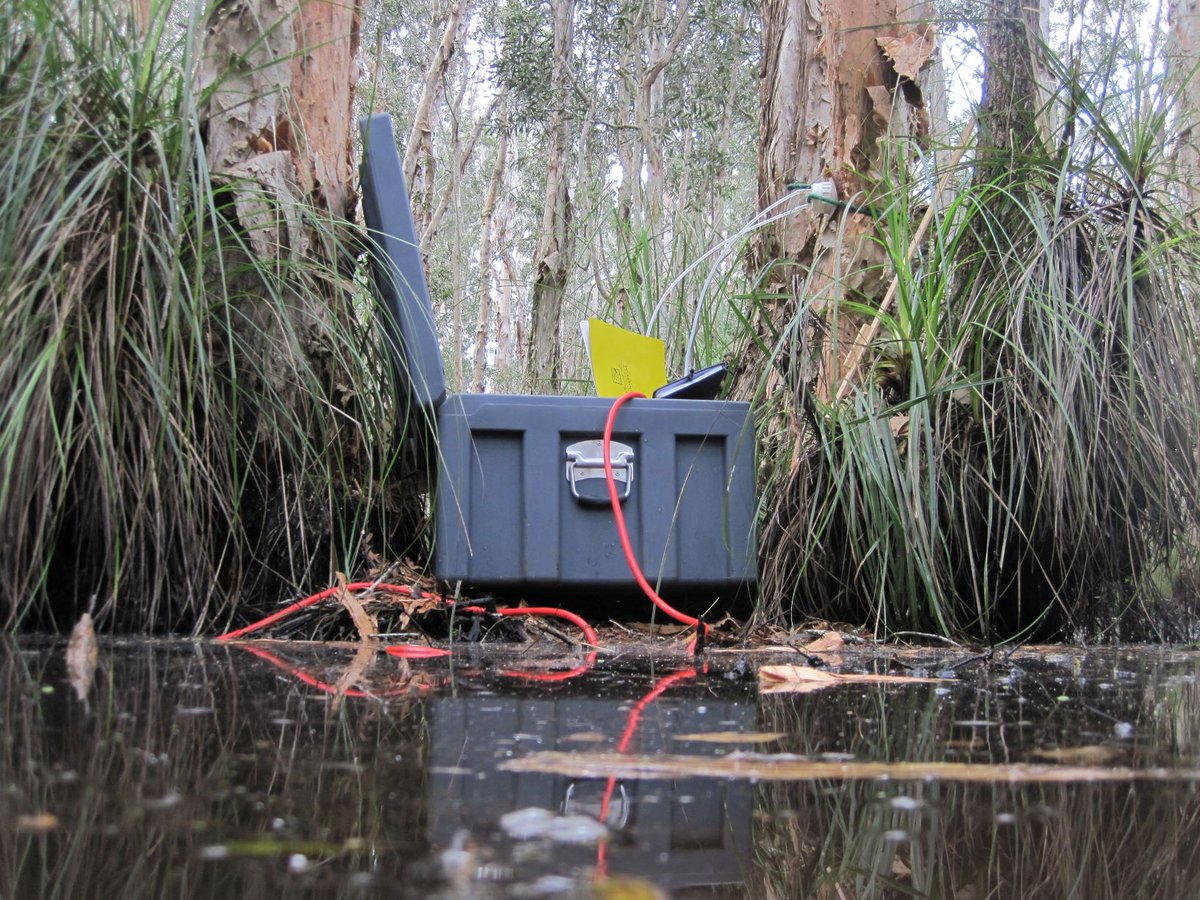 Hey twitter thanks for the RT's on the PhD position (now filled). We have another PhD position to fill (please spread the word). The PhD will help unravel the mechanisms, rates and relative importance of tree-mediated methane emissions from wetlands.