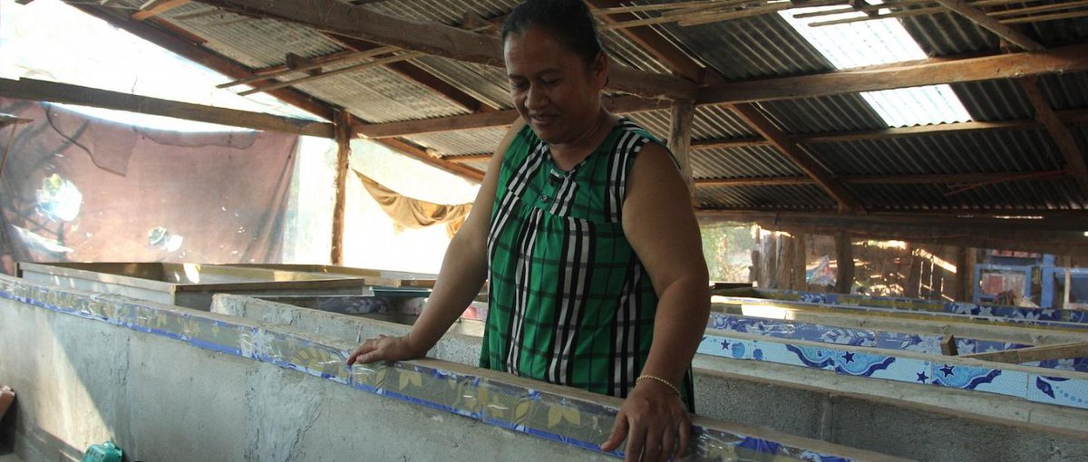 Insect farming is not only good for the environment but is also improving the lives of many farmers in Thailand
ow.ly/Na8N50t9h8m