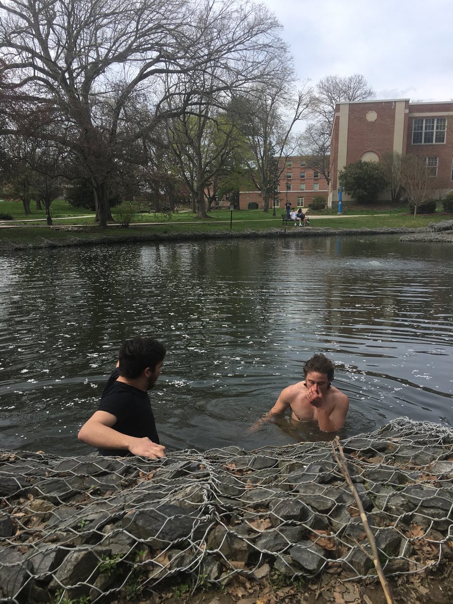 rissingerweb's tweet photo. Taking a dip is a great way to relax! #drpgame #engl318mu https://t.co/ui5zWQOVDI