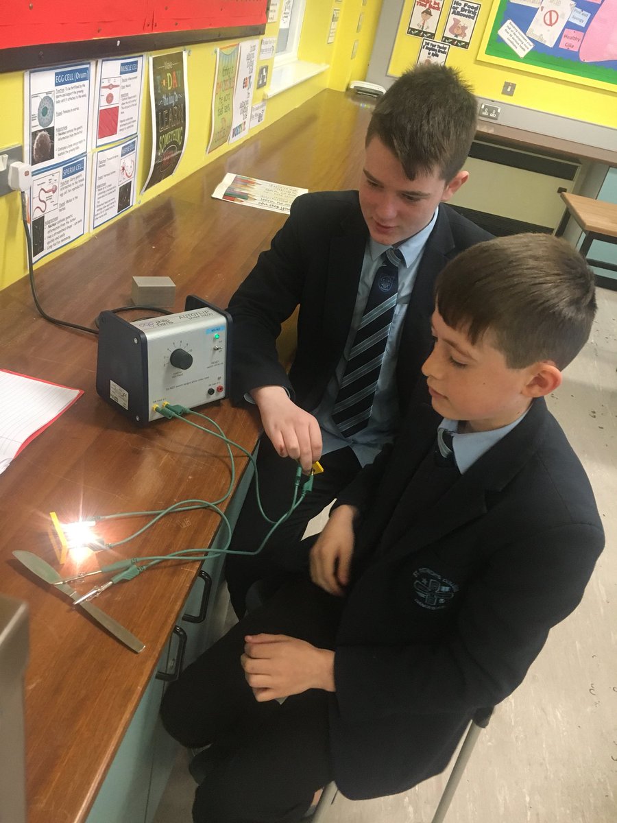 StPats_Science's tweet image. 9AB were busy this morning setting up circuits. They tested different materials to see if they were conductors or insulators. Excellent work from everyone 😃@StPatsBanbridge