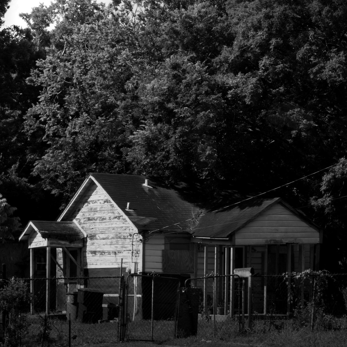 Shot by me in Houston, Texas.