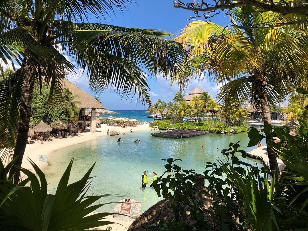 XcaretPark's tweet image. Today is a perfect day in paradise! 🌴☀️