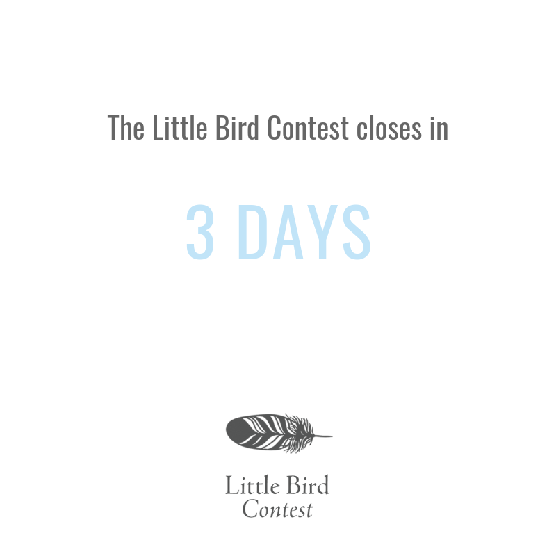 SarahSeleckyWS's tweet photo. The #LittleBirdContest closes in three days. Submit your story by 9pm ET on May 1st.

Selected by @cherie_dimaline, the prizes are: 

Winner: $1,000 💰
First  &amp; second runner-up: $250 each 💰

Plus publication in #LittleBirdStories, by @invisibooks. 📚

https://t.co/oZc44tflos https://t.co/fTCRInoTmJ