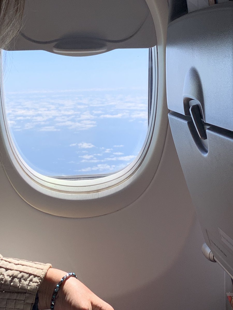 Chrissonwhich's tweet image. #Orland