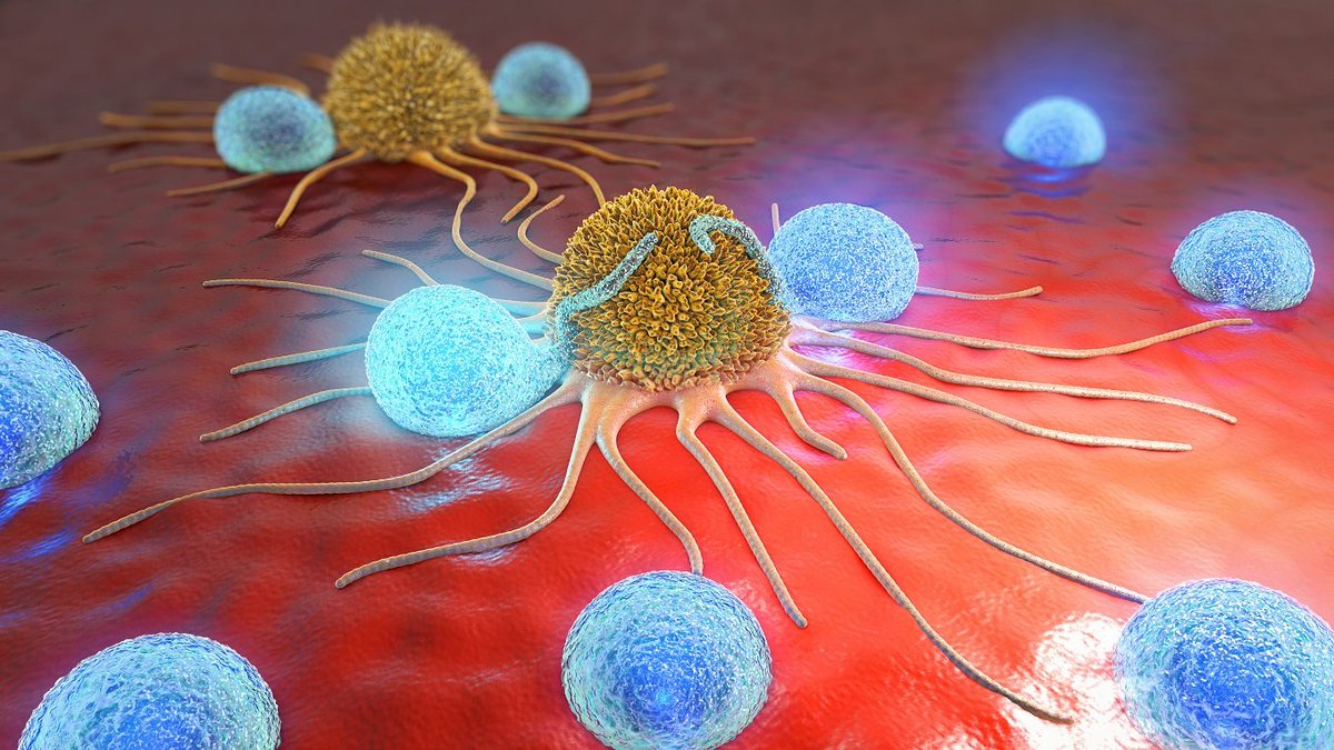 InfoVitares's tweet photo. Today is the International Day of #Immunology 
An important opportunity to communicate immunology and its goals. The topic of this year is cancer #immunotherapy. The discovery of immune checkpoint inhibitors has opened a new chapter in the fight against cancer. 

#dayofimmunology https://t.co/BlKimNOEuw