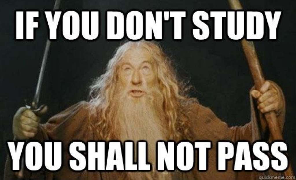 FOCUStamu's tweet photo. Words from a current FOCUS student: When studying for exams the key to success is to constantly be reviewing the material you learn. It’s incredibly beneficial to immediately go over the the material that you covered in a class as soon as possible. https://t.co/2bcOu0LtdB
