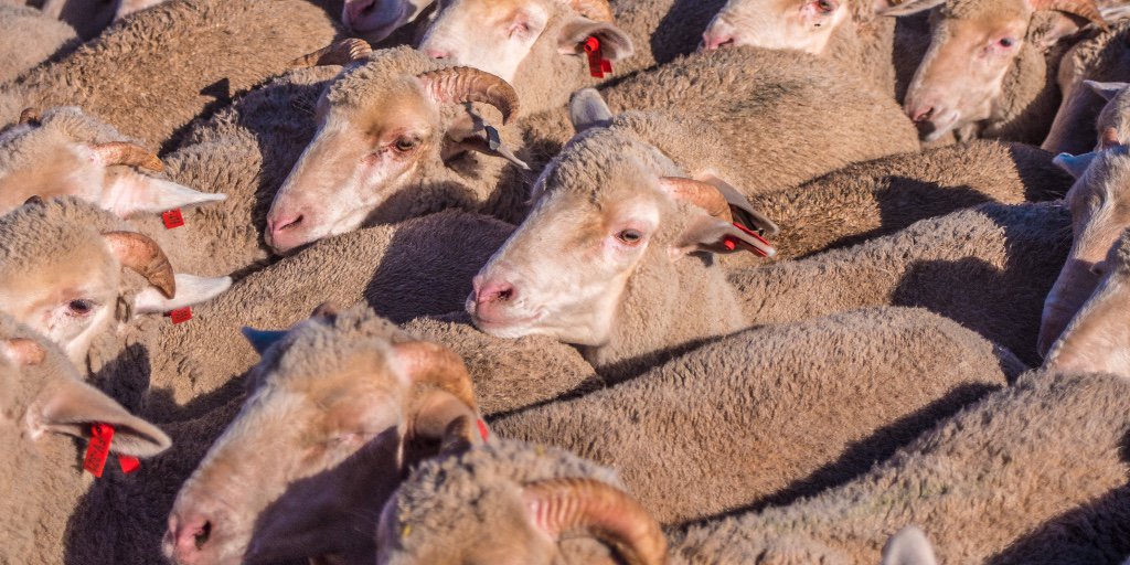 Fairview Wine&Cheese tweet media