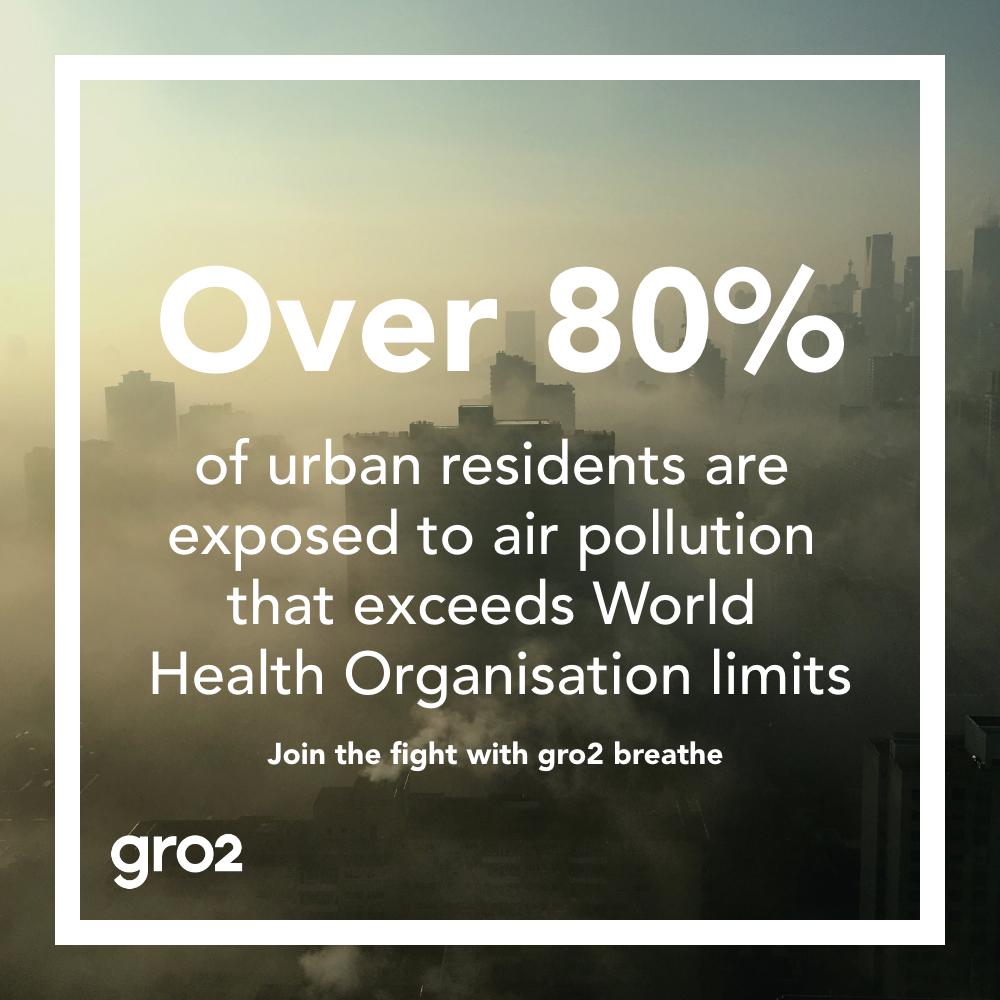 gro2breathe's tweet photo. The gro2 breathe planter enhances the ability of plants to remove pollution from the air. A natural solution to a huge man-made problem. #cleanair #health #plants #airquality #urban #pollution #urbanjungle #gro2breathe https://t.co/GNKujjNsZd