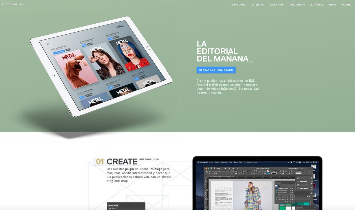 Rayitas Azules tweet media