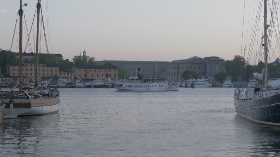 Kalopsia Collective tweet media