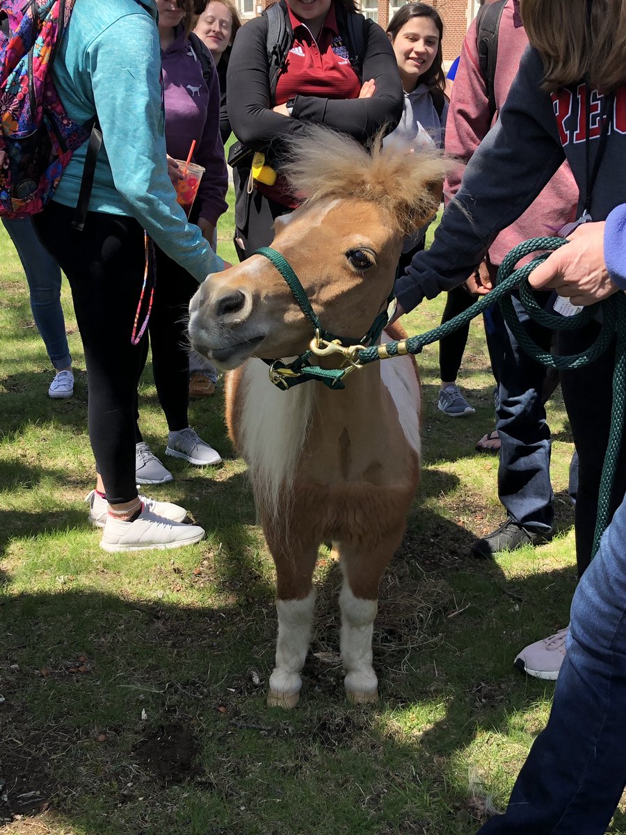 Happening now outside the Library!