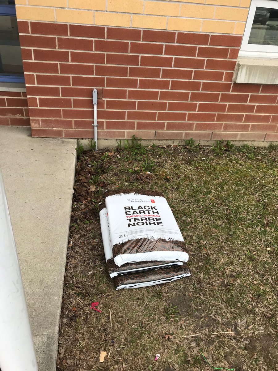StonehavenES's tweet photo. Thank you to the family who brought our first bags of soil! Keep it coming SES families. We need garden soil and manure for our flowers and our veggies. Drop it off on the front lawn, anytime! #communitygarden #wellnessweek #YRDSBEarlyYears #YRDSBGetOut โฆ@SESKindersโฉ https://t.co/z3wqW8BlhU