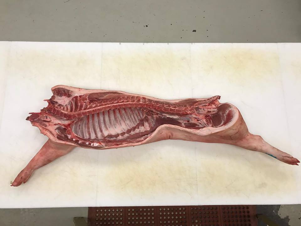 Check out #ablemeats in Didsbury competing with our hog breaking demo for Team Canada’s young butcher! @wbcteamcanada #worldbutcherschallenge @ontariomeatpoultry #wbcteamcanada #albertabutcher #localbutcher @bearflowerfarm #localpork #albertapork