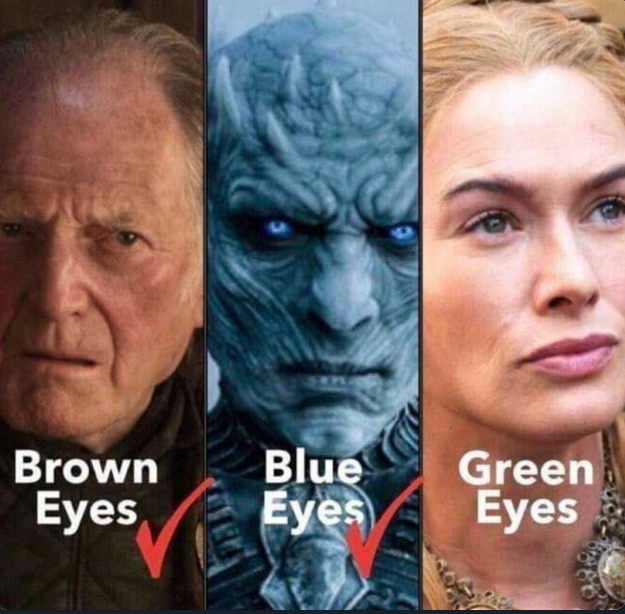 DaniiSays's tweet photo. Brown Eyes 
Blue Eyes
Green Eyes
Eyes you 'll shut forever
#Arya 
#GameofThrones https://t.co/HZfeLbXpRL