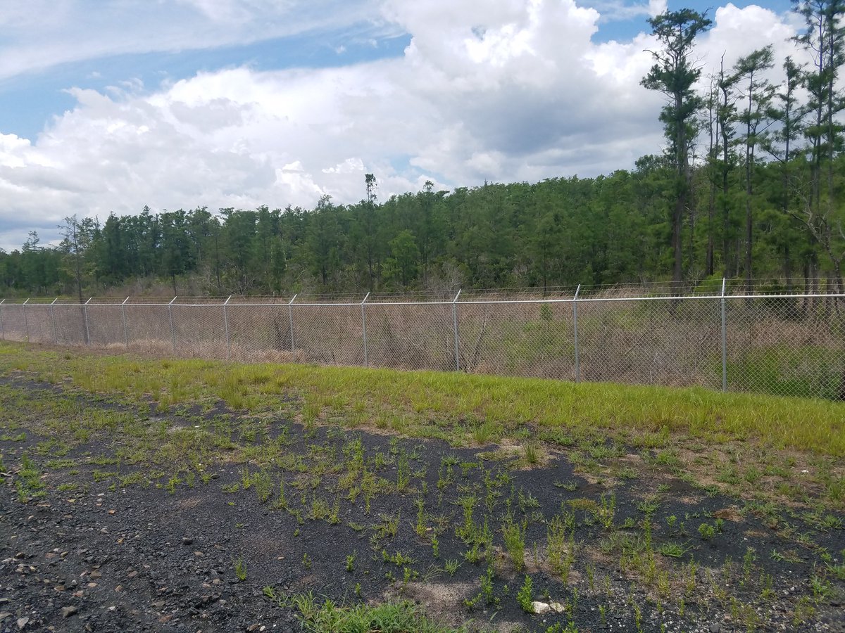 fencedirectfl's tweet photo. We install &amp; sell professional grade vinyl, wood,  aluminum &amp; chain link fences!
Call us toady at: (407) 547-1094
 #strong #reliable #affordable #fencedirectfl #fences #homeimprovement #orangecounty #orlando #orlandobusiness #osceolacounty #polkcounty #seminolecounty #lakecounty https://t.co/zcoRYQv8qS