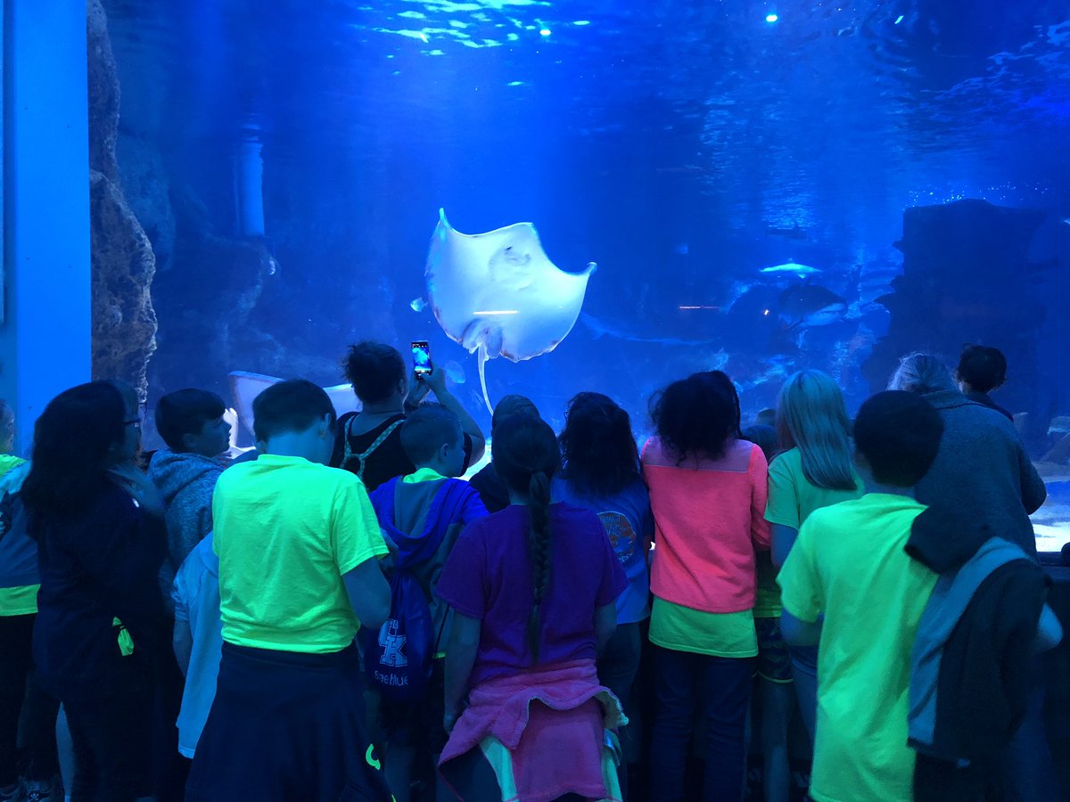 Rose5th's tweet photo. Newport Aquarium today❤️ #BESBears https://t.co/Z5Z2FMkiXE