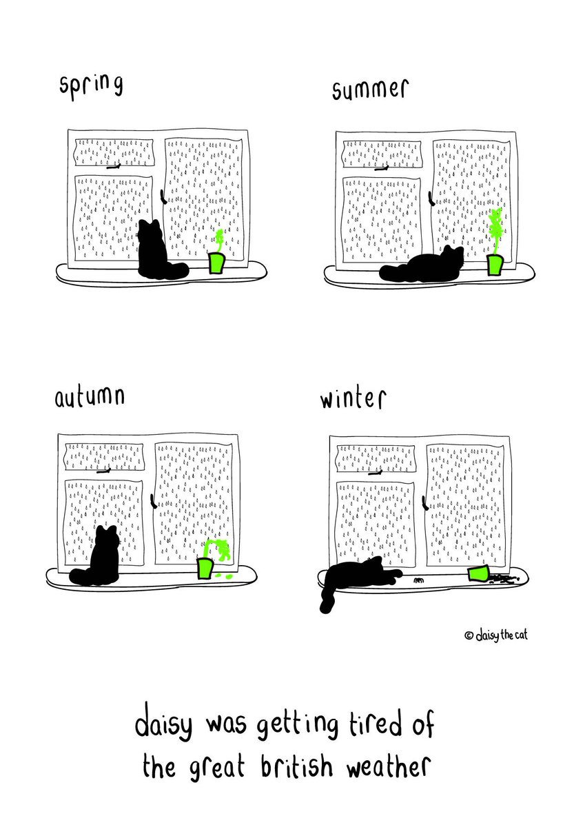 DaisyTheCatUK's tweet photo. our weather systems 🙃 #life #daisylife https://t.co/IFPjQPDclZ