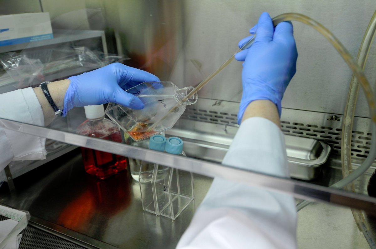 First-year MD/PhD student wins 250,000 award. bit.ly/2PF6eVH