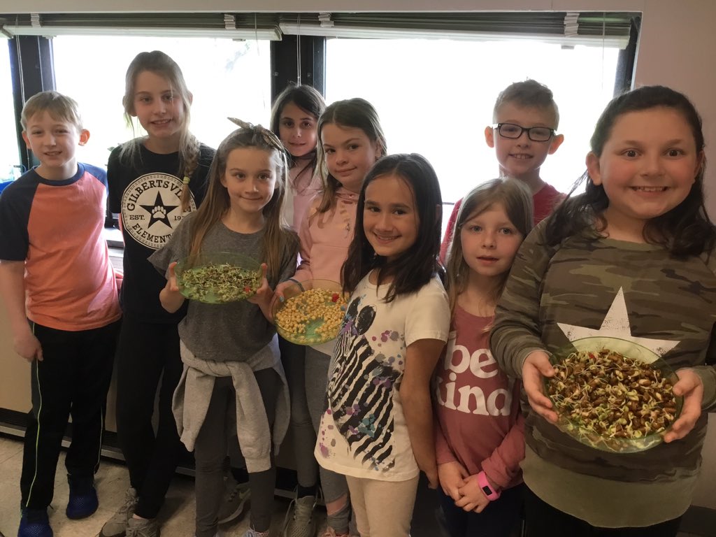 Structures of Life Investigation: Students are showing that taking good care of their seeds leads to successful sprouting. <a href="/LitDanaK/">Dana Kramaroff</a> @TechyBec #basdpride