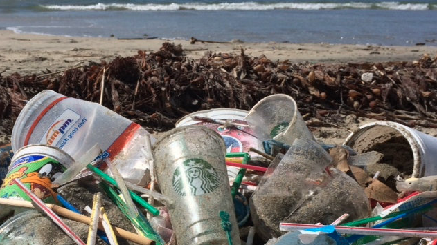 StopOceanPollu2's tweet photo. Plastic Straws pollute our oceans and harm our sea life. "About 500 million plastic straws are used around the world each day"(RWS) #plasticpollution #plastic #oceanpollution #magsagape19 https://t.co/GuJqIkTeb2 https://t.co/P07ewTpRTM