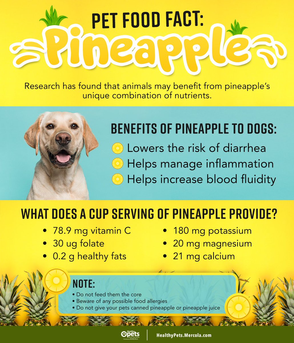 Read more about pineapples here: 
ow.ly/vVQm30oxIUc