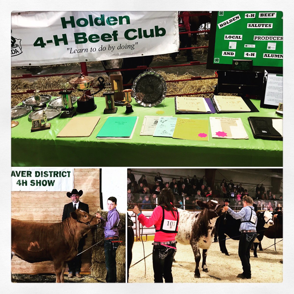 TheRanch1065's tweet photo. 🐮 Our @4halberta2 Coverage Season is officially underway today with the ‘Beaver District 4H Show &amp; Sale’! 🐮

📻 Keep it locked for our reports from the show &amp; don’t forget the Sale gets underway at 7:00pm at the Holden Ag Complex! 📻 

#4HAlberta #VikingAB #TofieldAB #HoldenAB https://t.co/toHZ89eCZh