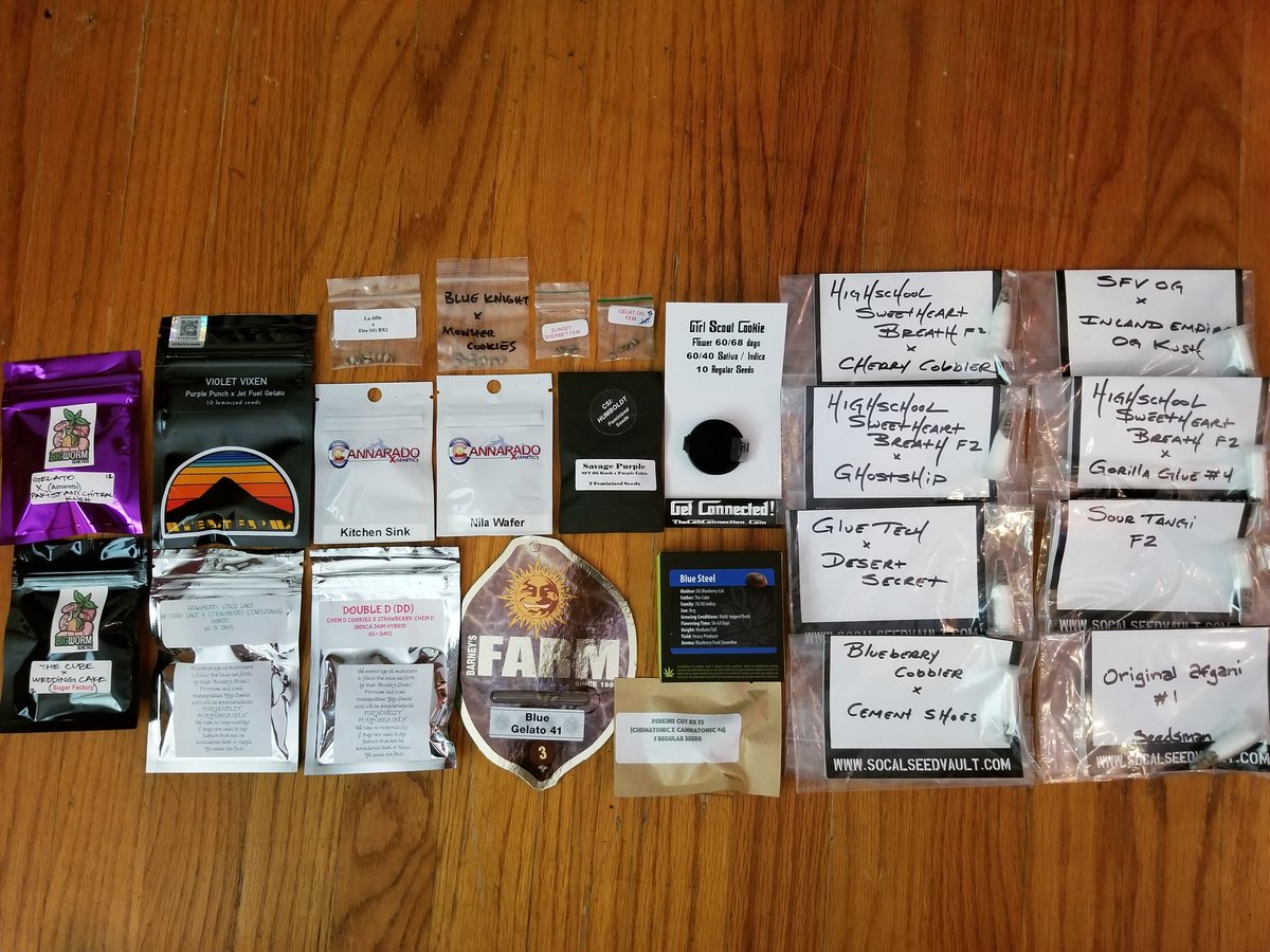 HerbalArsonist_'s tweet photo. #seeds #seedbank #seedsforsale #420 #cannabis #fueledbythc #highsociety #hightimes #cannaradogenetics #exoticgenetix #thecaliconnection #barneysfarm #bigwormgenetics #wyeastfarms #purplepunch #sundaedriver #gelato #weddingcake #cementshoes #gg4 #ogkush #cookies #gsc #chemd https://t.co/5zzKzgnLE7