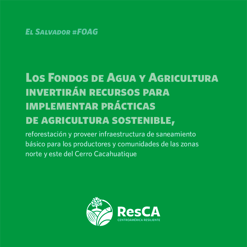 ResilienteCA's tweet photo. Conoce más sobre esta inédita iniciativa de @CRSEspanol, @fiaes_sv, #ACUGOLFO y gobiernos locales salvadoreños. Por Ecosistemas Productivos Sanos, #SomosResCA. #CentroaméricaResiliente #FondosDeAgua #FOAG Conoce los detalles 👉 https://t.co/dCdIbpggdG https://t.co/HtnlhXcQ0l